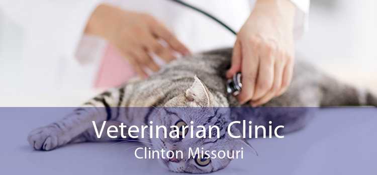 Veterinarian Clinic Clinton Missouri