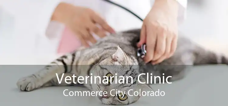 Veterinarian Clinic Commerce City Colorado