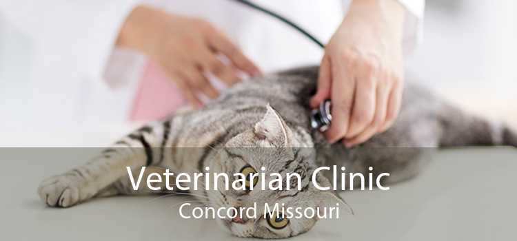 Veterinarian Clinic Concord Missouri
