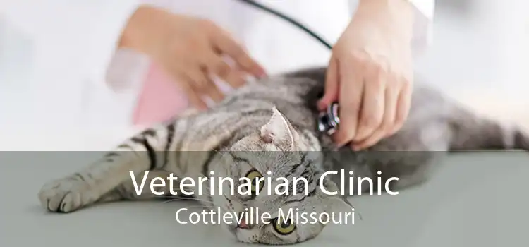 Veterinarian Clinic Cottleville Missouri