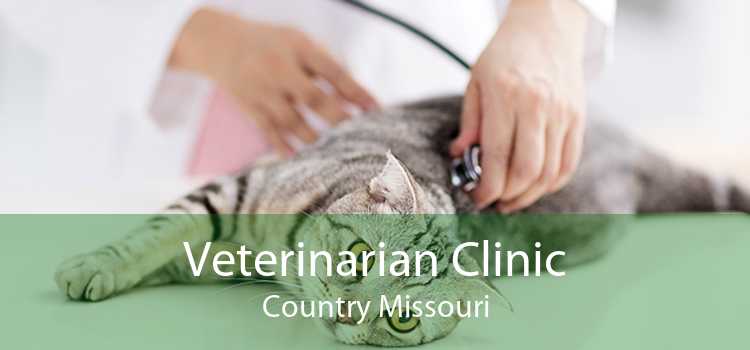 Veterinarian Clinic Country Missouri