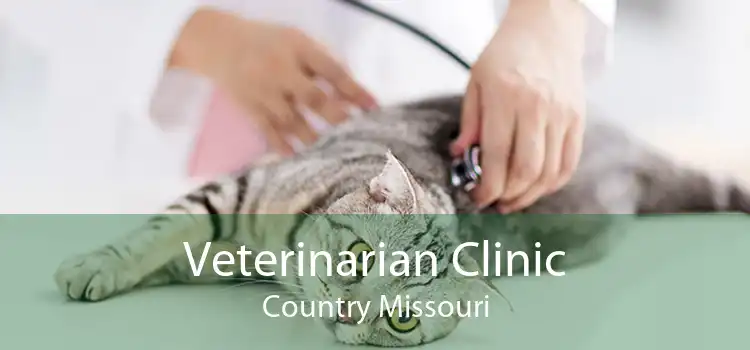 Veterinarian Clinic Country Missouri