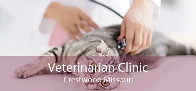 Veterinarian Clinic Crestwood Missouri