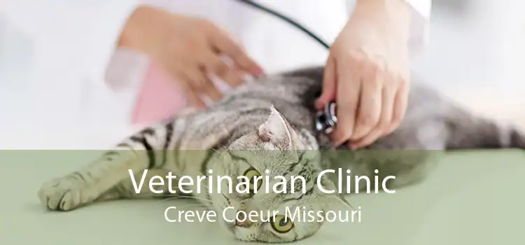 Veterinarian Clinic Creve Coeur Missouri