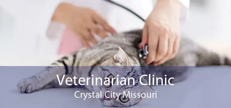Veterinarian Clinic Crystal City Missouri