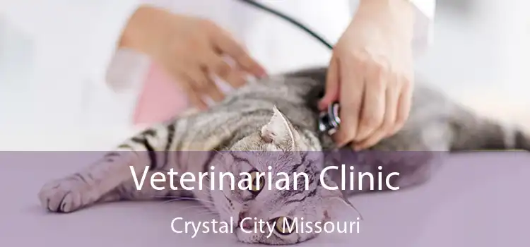 Veterinarian Clinic Crystal City Missouri