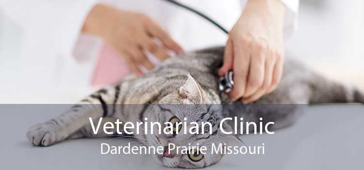 Veterinarian Clinic Dardenne Prairie Missouri