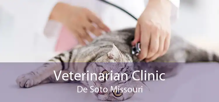 Veterinarian Clinic De Soto Missouri