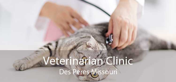 Veterinarian Clinic Des Peres Missouri