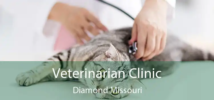 Veterinarian Clinic Diamond Missouri