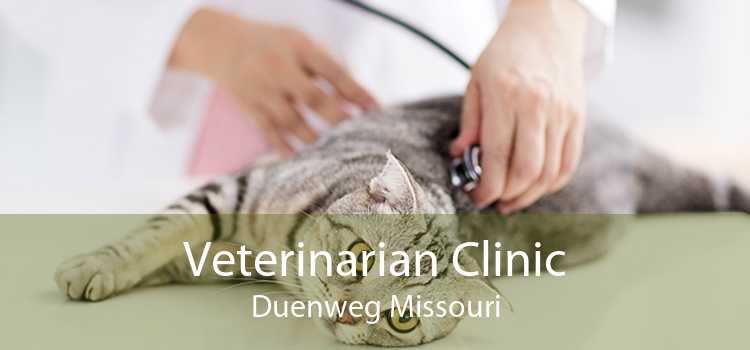 Veterinarian Clinic Duenweg Missouri