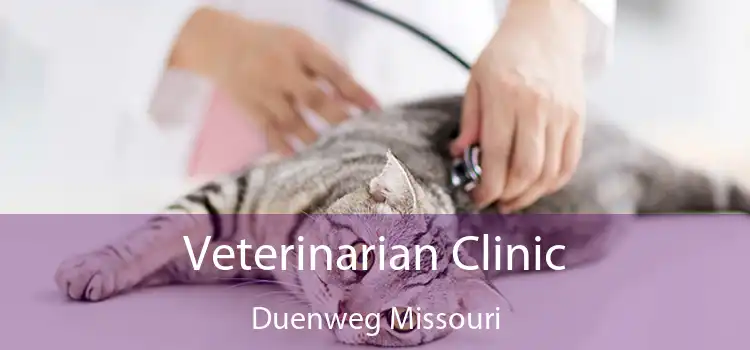 Veterinarian Clinic Duenweg Missouri