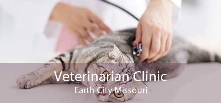 Veterinarian Clinic Earth City Missouri
