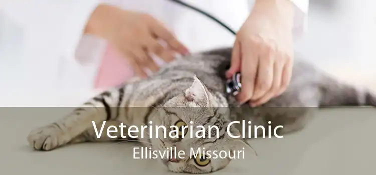 Veterinarian Clinic Ellisville Missouri