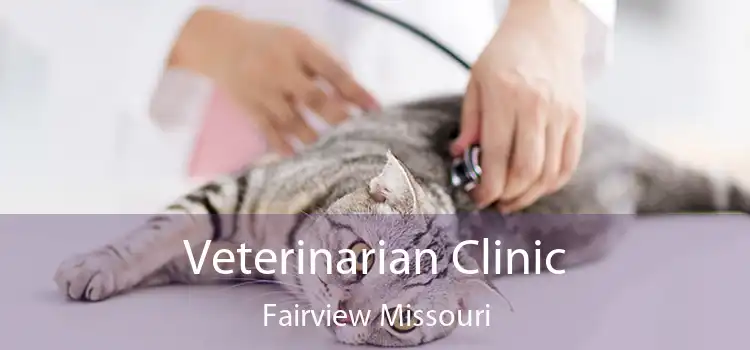 Veterinarian Clinic Fairview Missouri