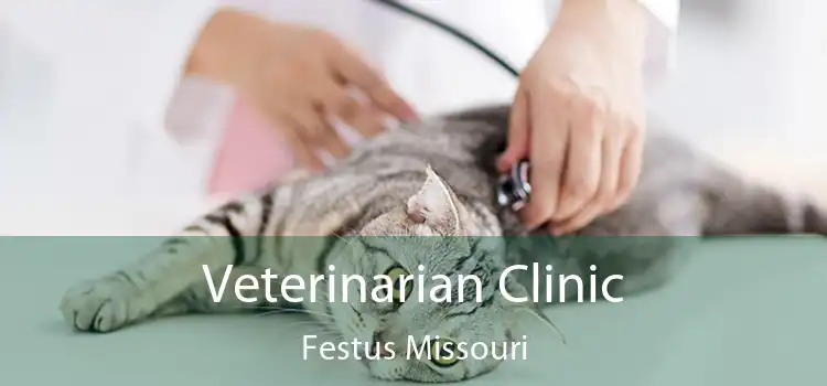 Veterinarian Clinic Festus Missouri
