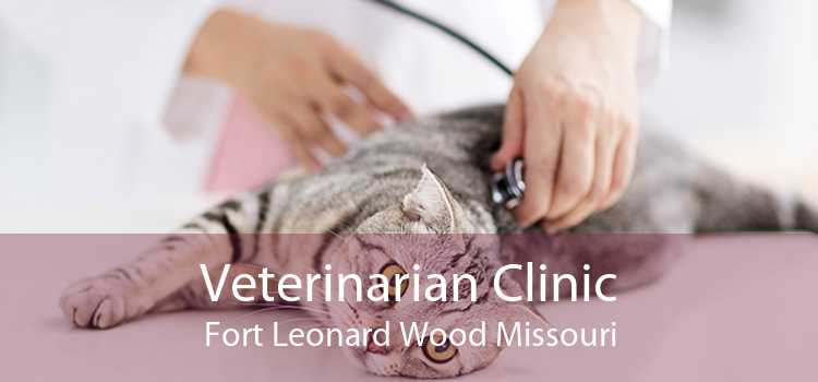 Veterinarian Clinic Fort Leonard Wood Missouri