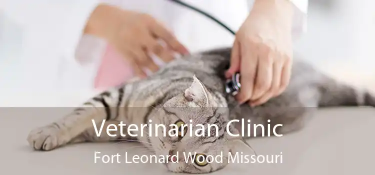 Veterinarian Clinic Fort Leonard Wood Missouri