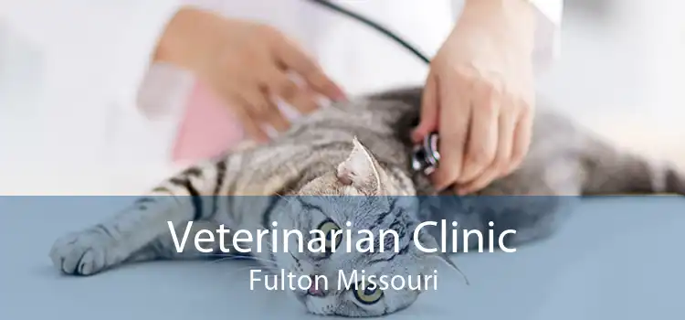 Veterinarian Clinic Fulton Missouri