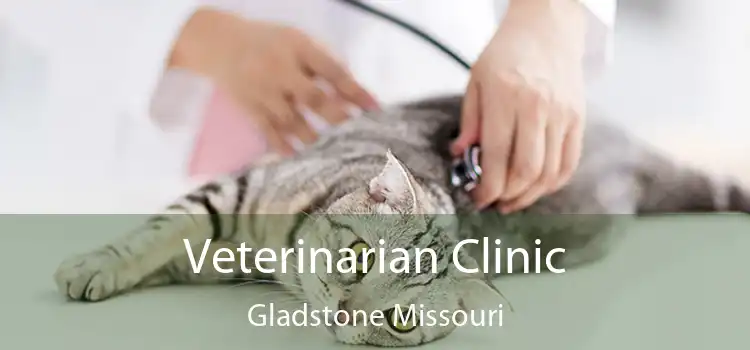 Veterinarian Clinic Gladstone Missouri