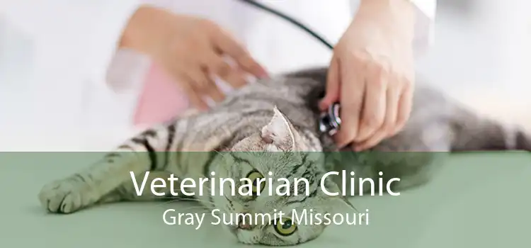 Veterinarian Clinic Gray Summit Missouri