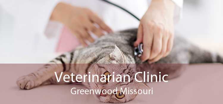 Veterinarian Clinic Greenwood Missouri