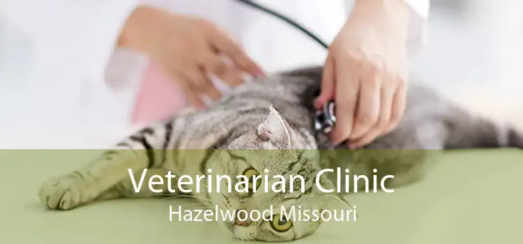 Veterinarian Clinic Hazelwood Missouri