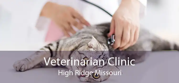 Veterinarian Clinic High Ridge Missouri