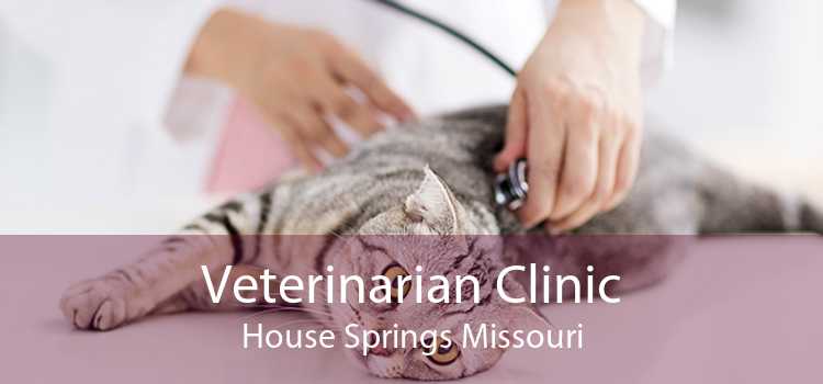 Veterinarian Clinic House Springs Missouri