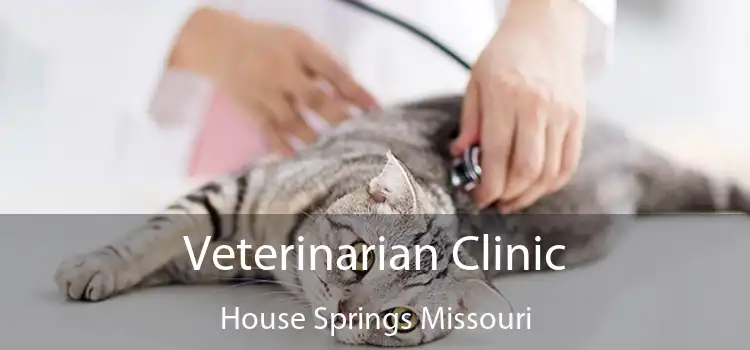 Veterinarian Clinic House Springs Missouri