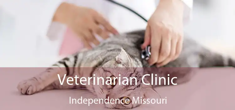 Veterinarian Clinic Independence Missouri