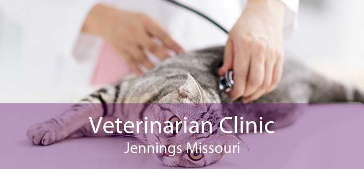 Veterinarian Clinic Jennings Missouri