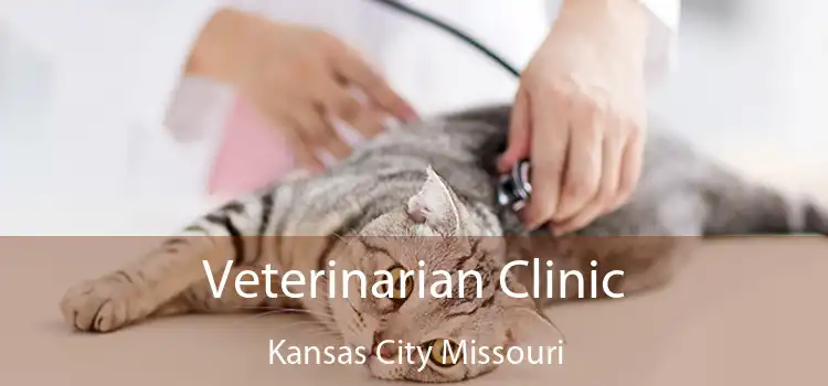Veterinarian Clinic Kansas City Missouri