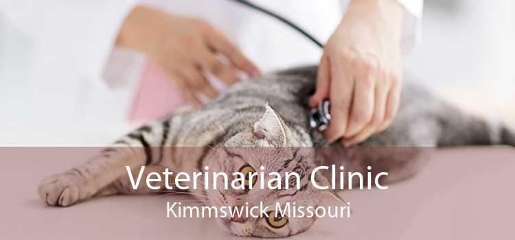 Veterinarian Clinic Kimmswick Missouri