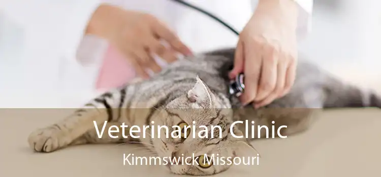 Veterinarian Clinic Kimmswick Missouri