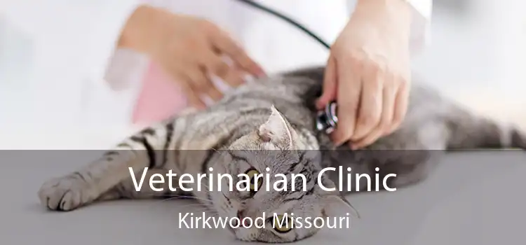 Veterinarian Clinic Kirkwood Missouri