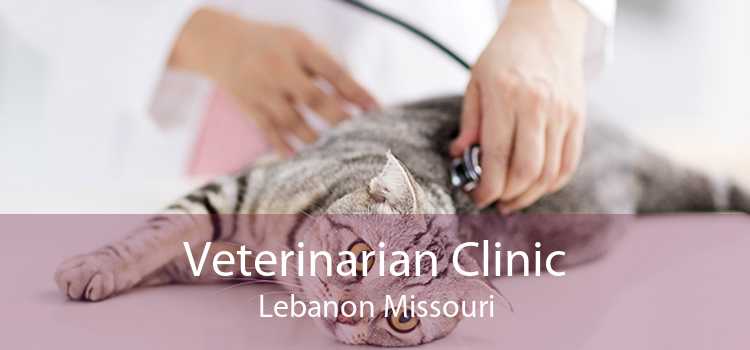 Veterinarian Clinic Lebanon Missouri