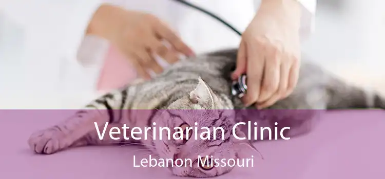 Veterinarian Clinic Lebanon Missouri