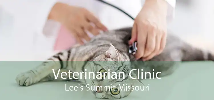 Veterinarian Clinic Lee's Summit Missouri