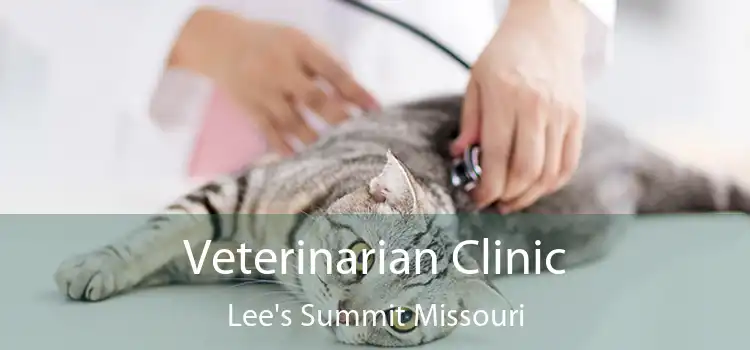Veterinarian Clinic Lee's Summit Missouri