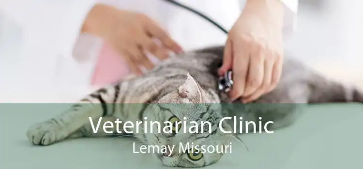Veterinarian Clinic Lemay Missouri