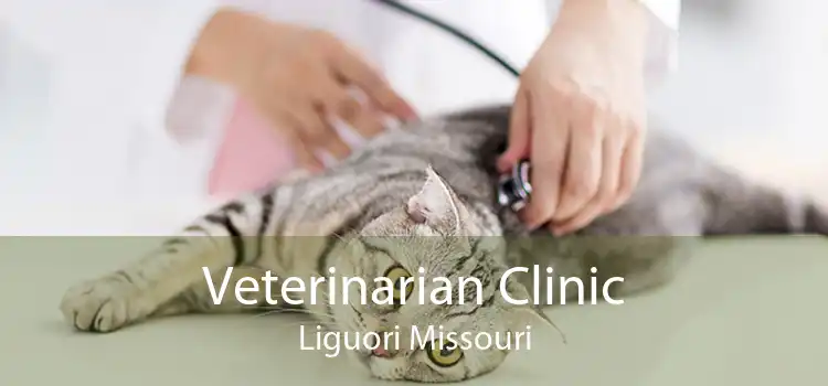 Veterinarian Clinic Liguori Missouri