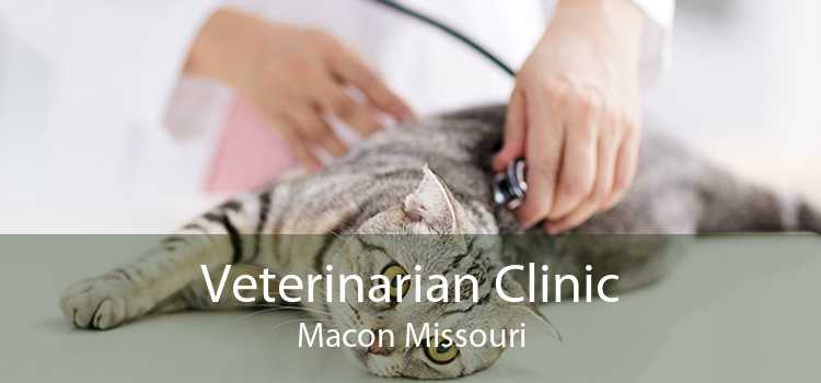 Veterinarian Clinic Macon Missouri