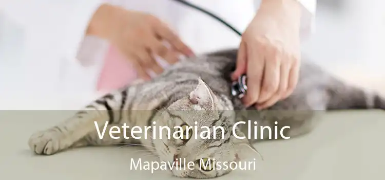 Veterinarian Clinic Mapaville Missouri