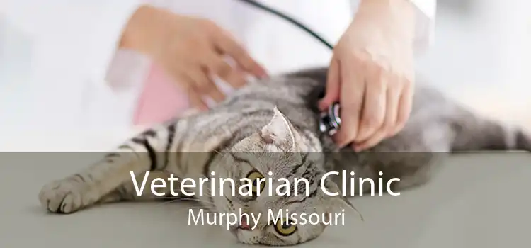 Veterinarian Clinic Murphy Missouri