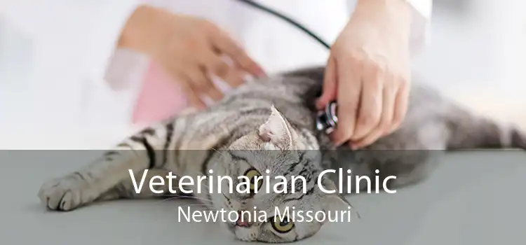 Veterinarian Clinic Newtonia Missouri