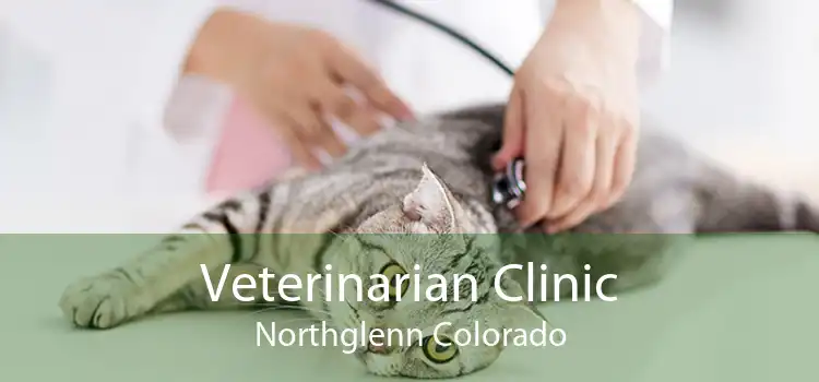 Veterinarian Clinic Northglenn Colorado