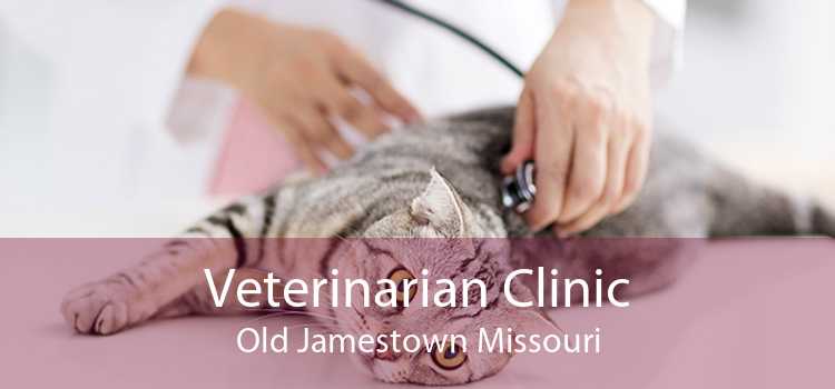 Veterinarian Clinic Old Jamestown Missouri