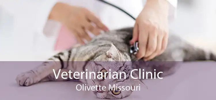 Veterinarian Clinic Olivette Missouri