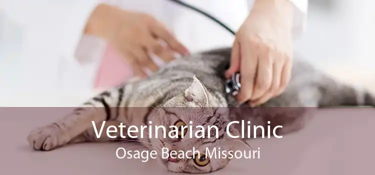 Veterinarian Clinic Osage Beach Missouri